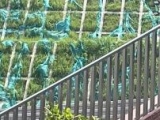 預(yù)防不銹鋼護(hù)欄腐蝕的方法有哪些？