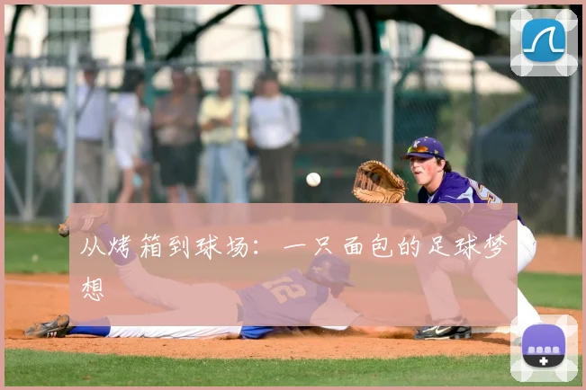 从烤箱到球场：一只面包的足球梦想