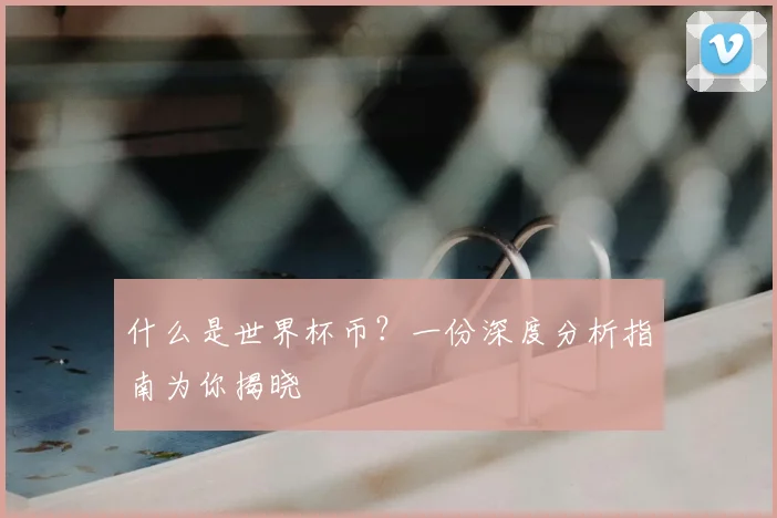 什么是世界杯币?一份深度分析指南为你揭晓