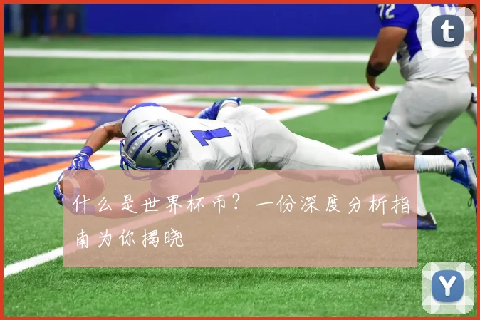 什么是世界杯币?一份深度分析指南为你揭晓