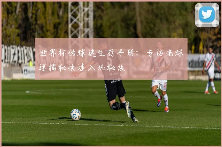 世界杯伪球迷生存手册：专访老球迷揭秘快速入坑秘诀