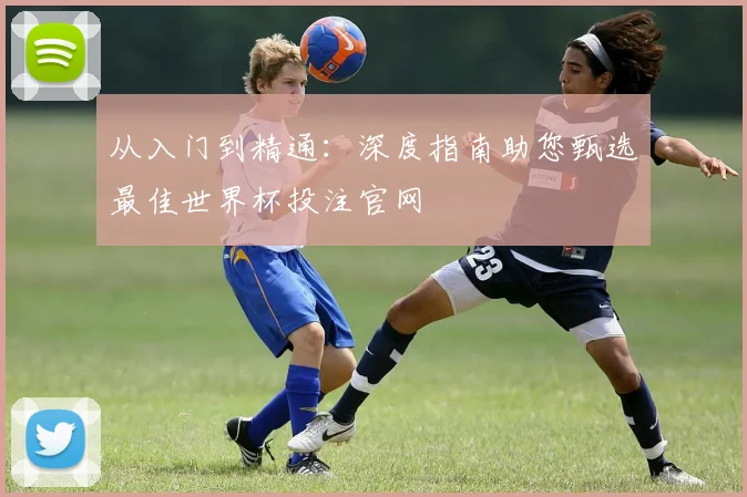 从入门到精通：深度指南助您甄选最佳世界杯投注官网