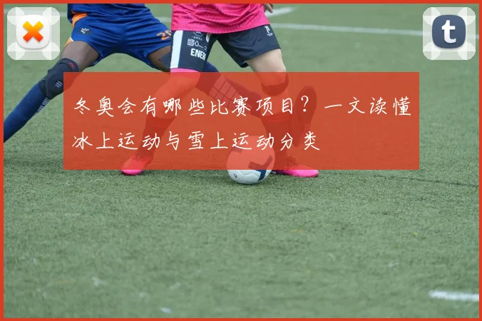 冬奥会有哪些比赛项目？一文读懂冰上运动与雪上运动分类